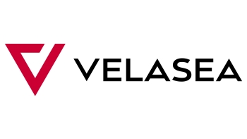 Velasea Llc