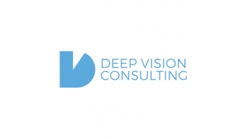 Deep Vision Consulting