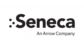 Image for Seneca 安全解决方案